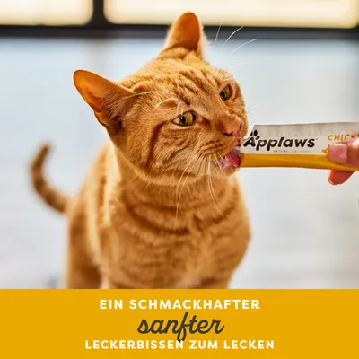 Sparpaket Applaws Cremige Leckerei 16 x 15 g