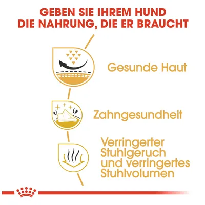 Geben Sie Ihrem Hund die Nahrung, die er braucht: Gesunde Haut, Zahngesundheit, verringerter Stuhlgeruch und verringertes Stuhlvolumen.