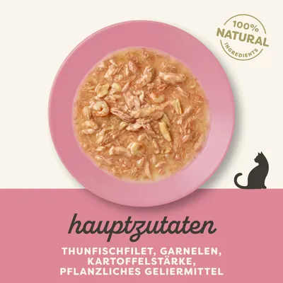 Sparpaket Applaws Cat in Soße 48 x 70 g