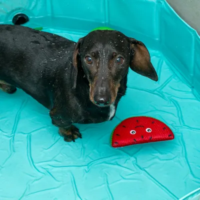 TIAKI hračky do vody ovocie