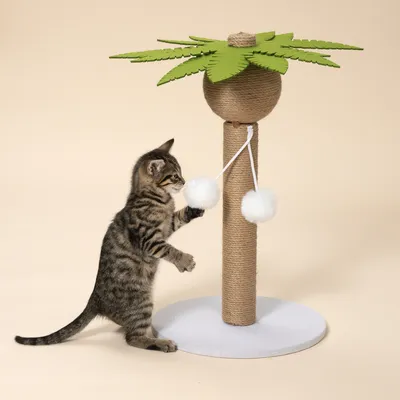 TIAKI klorestolpe palme