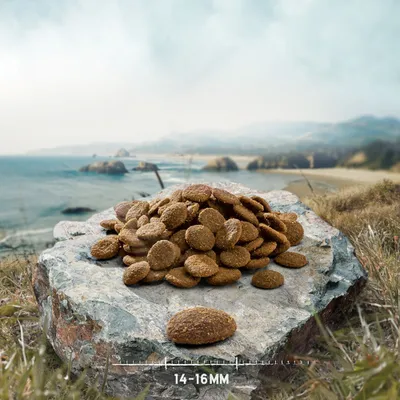 Pile of brown food pieces on stone, below, measurement 14–16 mm. Pile of brown food pieces on stone, below, measurement 14–16 mm.