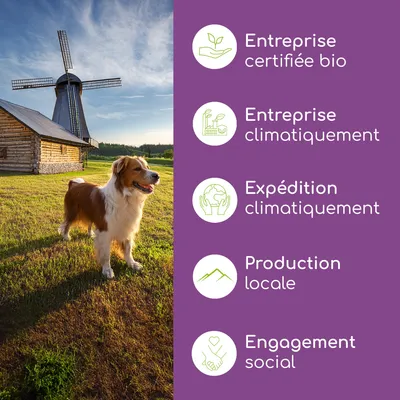 Entreprise certifiée bio, entreprise climatiquement neutre, expédition climatiquement neutre, production locale, engagement social. Entreprise certifiée bio, entreprise climatiquement neutre, expédition climatiquement neutre, production locale, engagement social.