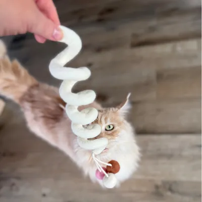 Aumüller Jouet pour chat Loopy Spiral
