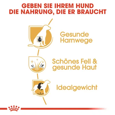 Gesunde Harnwege, schönes Fell & gesunde Haut, Idealgewicht. Geben Sie Ihrem Hund die Nahrung, die er braucht.