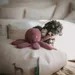 HUNTER hundelegetøj Wales Octopus