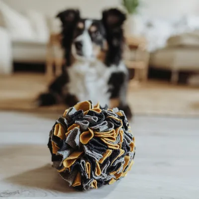 HUNTER čmuchací míček Eiby