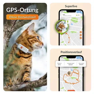 Weenect Haustier GPS Tracker XS für Katzen