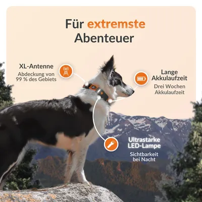 Weenect Haustier GPS Tracker XT für Hunde