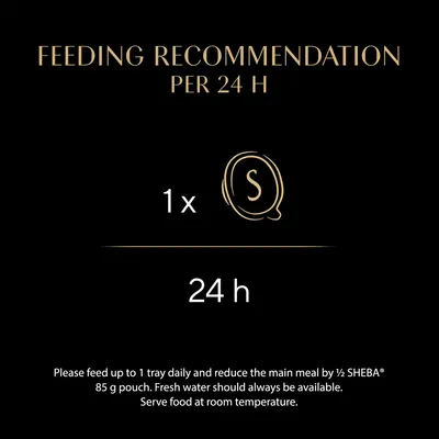 Sheba Fillets in Gravy Trays Multibuy