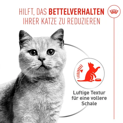 Royal Canin Appetite Control Care AirLift Mousse