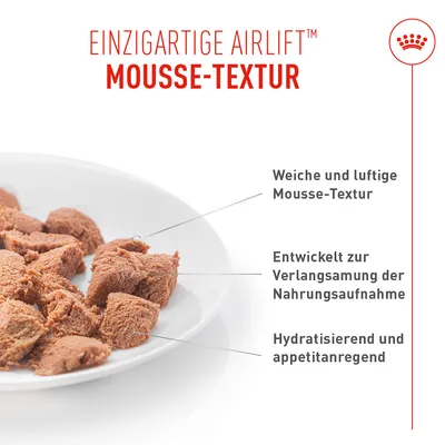 Royal Canin Digestive Care AirLift Mousse