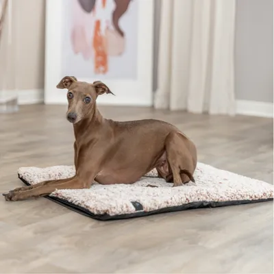 Trixie Tapis chauffant pour chien et chat Calida, blanc-brun Trixie Tapis chauffant pour chien et chat Calida, blanc-brun