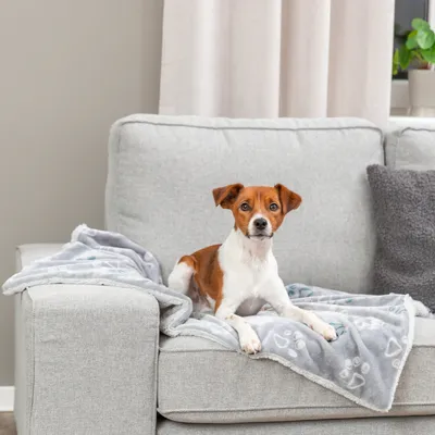 Trixie deka Jimmy, světle šedá Trixie deka Jimmy, světle šedá