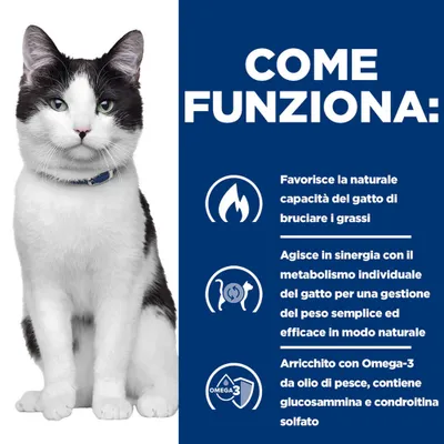 Spiegazione in italiano: Supporta la naturale combustione dei grassi nei gatti, agisce in sintonia con il metabolismo individuale e contiene omega-3 da olio di pesce, glucosammina e condroitina solfato. Spiegazione in italiano: Supporta la naturale combustione dei grassi nei gatti, agisce in sintonia con il metabolismo individuale e contiene omega-3 da olio di pesce, glucosammina e condroitina solfato.