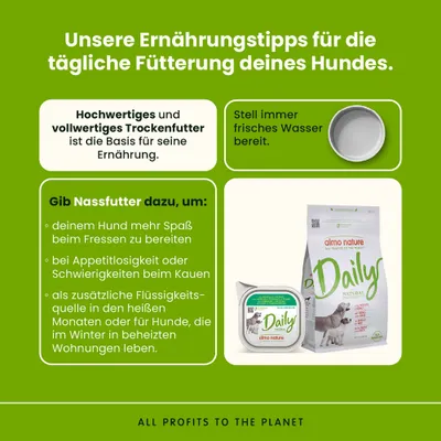 Ernährungstipps für Hunde: Hochwertiges Trockenfutter als Basis, immer frisches Wasser bereitstellen, Nassfutter für mehr Spaß, Appetitlosigkeit und zusätzliche Flüssigkeitsquelle. Ernährungstipps für Hunde: Hochwertiges Trockenfutter als Basis, immer frisches Wasser bereitstellen, Nassfutter für mehr Spaß, Appetitlosigkeit und zusätzliche Flüssigkeitsquelle.