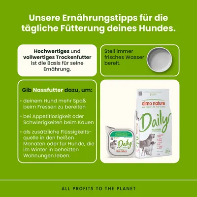 Ernährungstipps für Hunde: Hochwertiges Trockenfutter als Basis, immer frisches Wasser bereitstellen, Nassfutter bei Appetitlosigkeit oder als zusätzliche Flüssigkeitsquelle geben. Ernährungstipps für Hunde: Hochwertiges Trockenfutter als Basis, immer frisches Wasser bereitstellen, Nassfutter bei Appetitlosigkeit oder als zusätzliche Flüssigkeitsquelle geben.