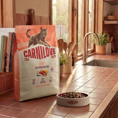 Carnilove True Fresh Beef für sterilisierte Katzen. 70% frisches Rindfleisch, 23% Gemüse, Früchte, Kräuter, 7% Fett, Öle, Organe. Keine Getreide. Crafted with fresh beef. Carnilove True Fresh Beef für sterilisierte Katzen. 70% frisches Rindfleisch, 23% Gemüse, Früchte, Kräuter, 7% Fett, Öle, Organe. Keine Getreide. Crafted with fresh beef.
