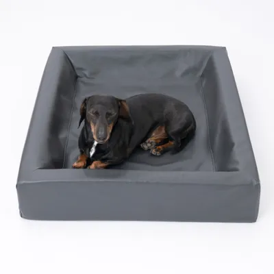 Modern Living postelja za pse Granit