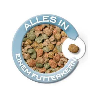 Droogvoerbrokken in verschillende kleuren met Duitstalige tekst: 'ALLES IN EINEM FUTTERKERN'. Eén brok is apart uitgelicht.