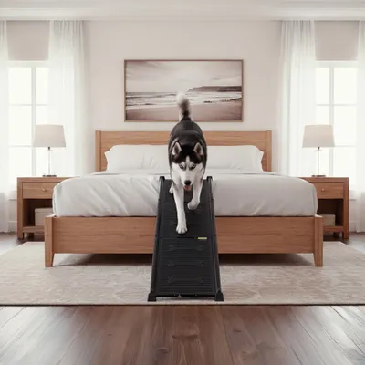 4pets koiranramppi EasySteps 4pets koiranramppi EasySteps