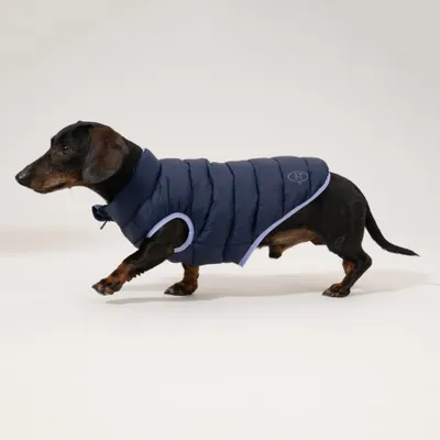 Nomad Tales Bloom Hundemantel Puffer, lila/marineblau Nomad Tales Bloom Hundemantel Puffer, lila/marineblau