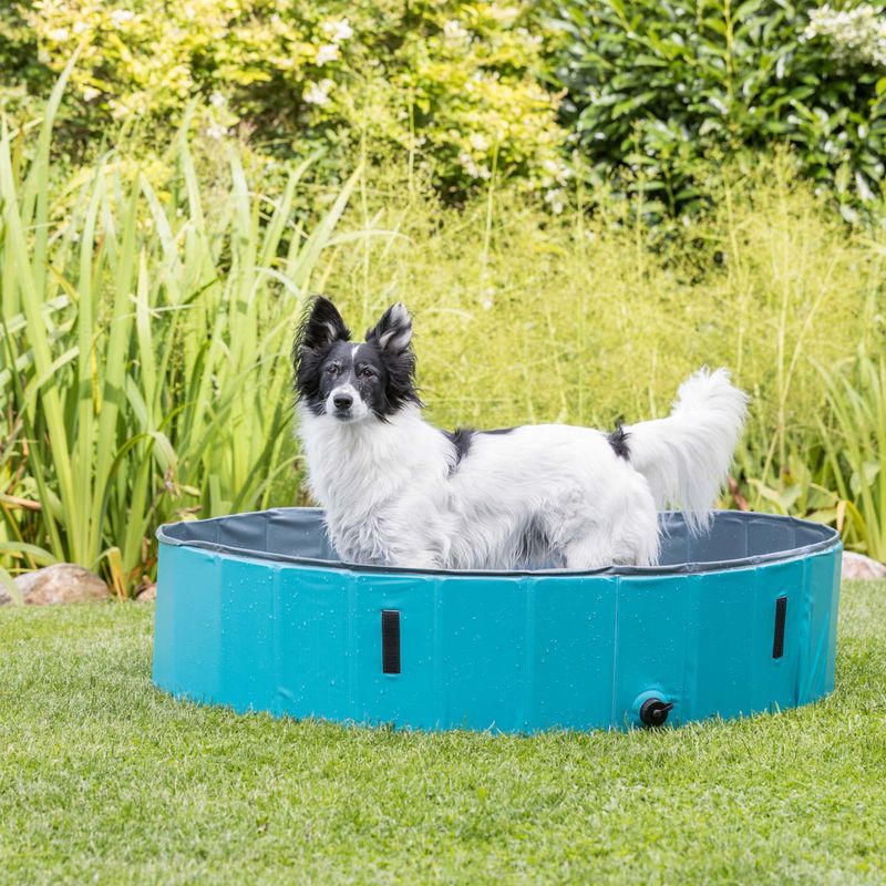 Trixie Hundepool