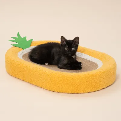 TIAKI Ananas Krabplank - L 60 x B 40 x H 8,5 cm TIAKI Ananas Krabplank - L 60 x B 40 x H 8,5 cm