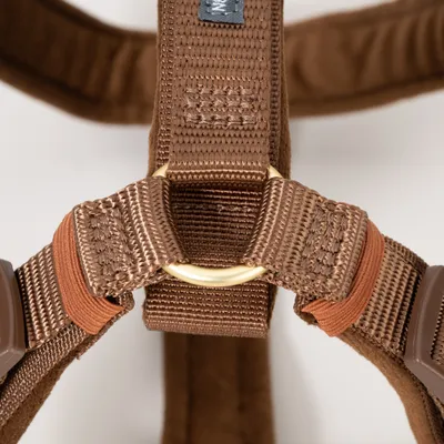 Nahaufnahme eines braunen Geschirrs aus Nylon mit Metallring und Kunststoffverschluss.