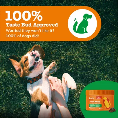 Zesty Paws Scoot Away Anal Gland Support Chews - Turkey - 50 Chews