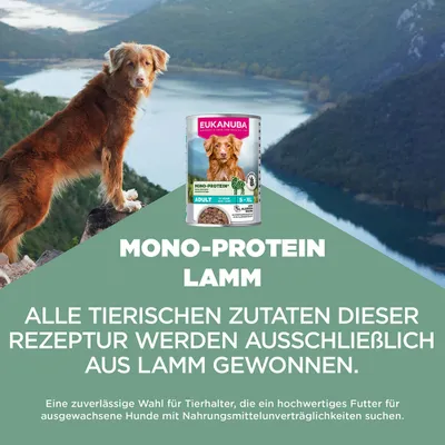 Eukanuba Special Care Adulte Mono-Protéine à l’agneau