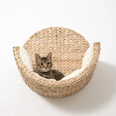 Circuito para gatos Modern Living Manarola, beige - Cama de pared Manarola Circuito para gatos Modern Living Manarola, beige - Cama de pared Manarola