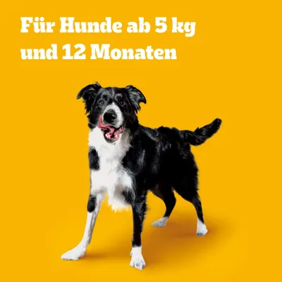 Für Hunde ab 5 kg und 12 Monaten Für Hunde ab 5 kg und 12 Monaten