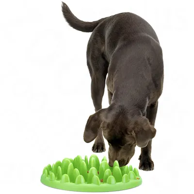 NORTHMATE ® Green Feeder - L 40 x B 30 x H 10 cm NORTHMATE ® Green Feeder - L 40 x B 30 x H 10 cm