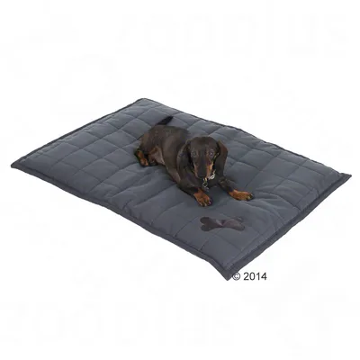 Dunkelgraues, gestepptes Hundekissen mit Knochenmotiv. Ein kleiner brauner Hund liegt darauf.