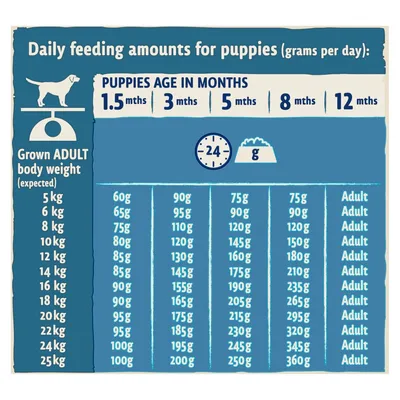 Daily feeding amounts for puppies by expected adult weight and age in months, showing grams per day for 1.5, 3, 5, 8, and 12 months.