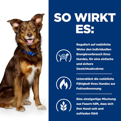 So wirkt es: Reguliert den Energieverbrauch des Hundes für sichere Gewichtsabnahme, unterstützt Fettverbrennung, einzigartige Fasermischung für Sättigung und Zufriedenheit.
