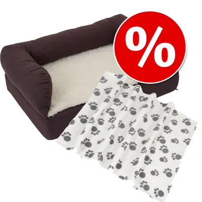 Sparpaket: Das Orthopädische Hundebett eckig + Kuscheldecke Paws