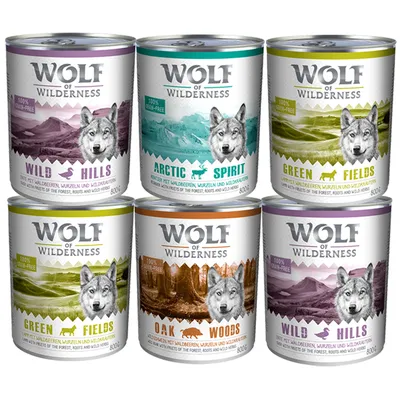 Šesť konzerv Wolf of Wilderness 800 g: Wild Hills, Arctic Spirit, Green Fields, Oak Woods. Viditeľné nápisy: 100% grain-free, obrázky vlka a krajiny na obaloch.