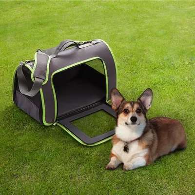 Borsa trasportino in tessuto grigio con profili verdi, apertura frontale e tracolla, posizionata su prato accanto a un cane di taglia piccola sdraiato.