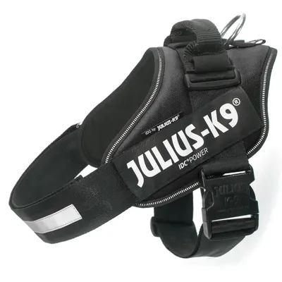 Sort hundesele med teksten JULIUS-K9 IDC®POWER og IDC by JULIUS-K9. Synlig spænde, metalring og reflekterende bånd.