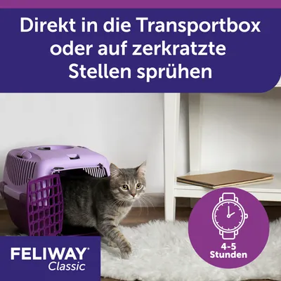 Feliway Classic. Direkt in die Transportbox oder auf zerkratzte Stellen sprühen. Wirkung hält 4-5 Stunden an.