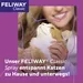 FELIWAY Classic Spray, 20 ml