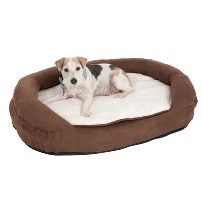 Hund liegt auf einem braunen ovalen Hundebett mit weisser weicher Liegefläche.