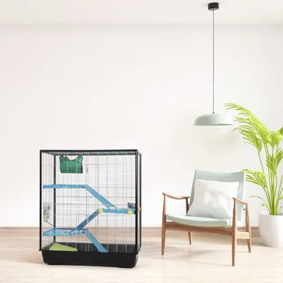 Dierenkooi met zwart metalen tralies, blauwe plateaus en groene hangmat. Kooi staat in een moderne woonkamer naast een stoel en plant. Geen merknaam zichtbaar.
