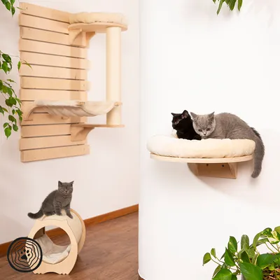 Arbre à chat mural en bois clair avec griffoir, hamac et plateformes, trois chats visibles dont deux allongés sur une étagère murale ronde rembourrée, un assis sur un tunnel griffoir au sol.