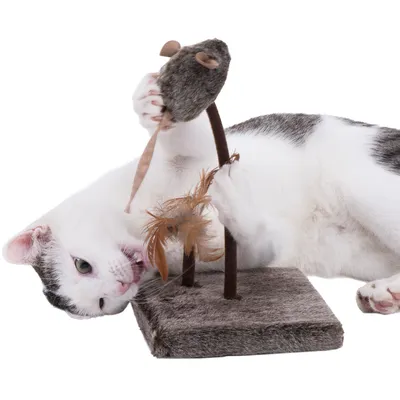 Gato branco brinca com brinquedo de tecido para gatos, composto por um rato e penas numa base quadrada.