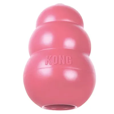 Jouet KONG Puppy pour petit chien et chiot - 1 KONG Puppy rose - taille S