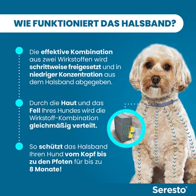 Seresto Halsband: Wirkstoffe werden schrittweise freigesetzt, gleichmäßig über Haut und Fell verteilt. Schutz vom Kopf bis zu den Pfoten für bis zu 8 Monate.