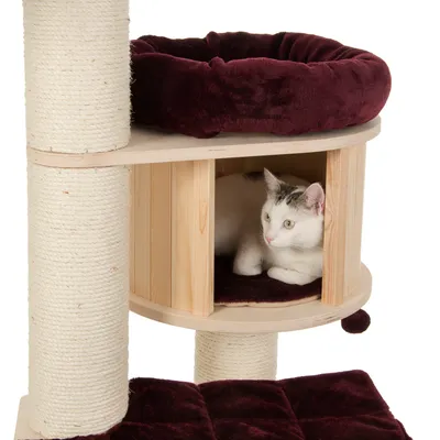 Krabpaal van hout en sisal met ligmand, kattenhuisje en kussen in bordeauxrood pluche. Witte kat ligt in het huisje. Materialen: hout, sisal, pluche.